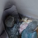 새아리농장 이미지