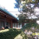 장터1길 이미지