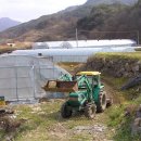 반딧불농원 이미지