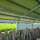 계동태양광발전소 이미지