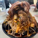 새은평동물의료센터 | [오늘N 2670회] 평창 봉평 해물갈비짬뽕 · 양산 라라 캠핑장 · 구미 리치헤어샵 위치 총정리