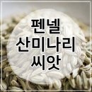 허브의 모든것