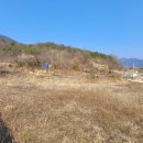 사창리 이미지