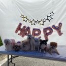 만수근린공원 | 어쩔 수가 없었슨