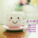 넌센스 Daum카페