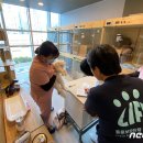 대전애견경매장 이미지