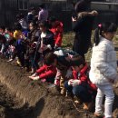 회천서초등학교 이미지