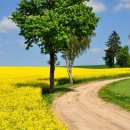 풍경화그리기 이미지