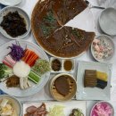 꿀참나무숲 유치원 | [제천] 가족여행 후기 | 리솜포레스트 힐링 (feat. 배론성지⛪️, 꿀참나무🍚)