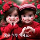 청솔모 토종닭 올챙이 영상ㅡ까치 비둘기 멍멍이 영상ㅡ강남 스타일 싸이 노래 ㅡ고추잠자리 조 용필 노래ㅡ남자는배 여자는 항구 심 수봉 ㅡ 이미지