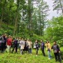 송재농장 | [함양 힐링여행] 2일차 : 산양삼캐기체험, 까매요, 상림공원, 늘봄가든, 남계서원, 양파밭체험, 개평...