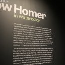 C ART MUSEUM | 호머의 수채화 특별전” Winslow Homer in Watercolor”- 보스턴미술관Museum of Fine Arts , Boston