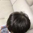 줌헤어필