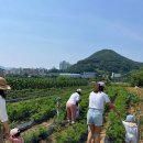 프리미어아레나승마클럽 이미지