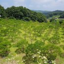 안전목장 이미지