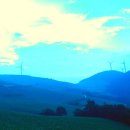 구름이쉬어가는농원 이미지