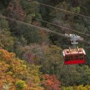 독도주차장 이미지