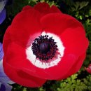 영화 행정사사무소 이미지