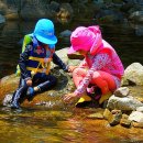 선바위민박 이미지