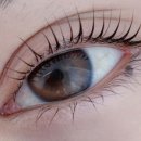 헤이데이 이미지