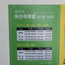 바닷가하얀목화밭