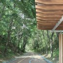 새마을로3길-2 이미지