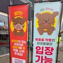 메리펫 | 2025 크리스마스서울펫쇼 관람후기 SETEC 주차팁