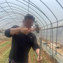 경현농장 이미지