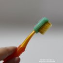 순천당생활건강 잇몸사랑치약 칫솔 사용후기