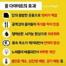 톡톡 체온다이어트