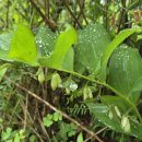 동원당한의원 이미지