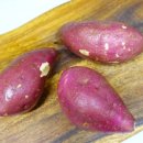 주식회사 더 샘터 이미지