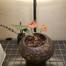 인생PT | 연기력이 자란다[인생 PT 1년 참여 후기]