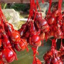 이천 강가주유(충전)소 | 2023 첫 여행 (4) 후쿠오카 4일차