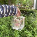 오퓰랑 | 나혼자 광주여행 ep.10 키티 마들렌이 있는 운암동 카페 오퓰랑 추천후기