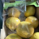 11590-나7 이미지