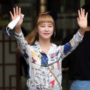 다영서비스