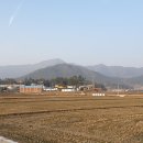 안양면사무소 Daum카페