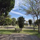 고성 잔디 캠핑장 이미지