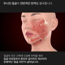 하남파워리프팅 주식회사 | 뷰앤디 앤모드 프로 내돈내산:또렷해지는 윤곽·사진 촬영전 필수