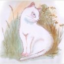 나는고양이 이미지