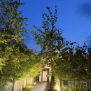 보물집 | 경기도 양평군 독채펜션 보물집 맘집🏡✨💭