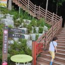 출렁다리(1) 이미지