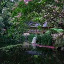 남간정사 이미지