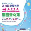 하얀메밀꽃 | “하얀 메밀꽃과 분홍 코스모스의 향연, 2025 가을 하동 꽃축제”