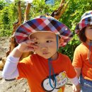 천호농장 이미지