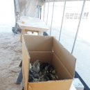 부여청계농장 이미지