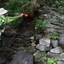 산막이약수터 이미지