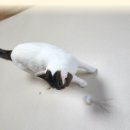 메트로펫 이미지