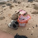 세부 더 리프 막탄 후기 🌊✨ 가성비 챙기면서 일몰 맛집 호텔 찾는다면 여기!